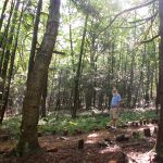 Greg Walking Forest Labyrinth