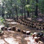 Forest Labyrinth Entrance